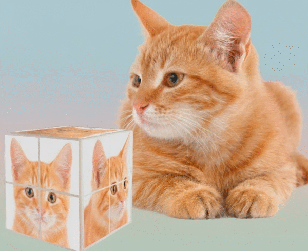 Cubo mágico 8×8 cm